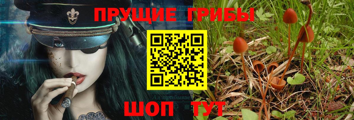Галлюциногенные грибы Psilocybine cubensis  Псилоцибиновые грибы ЛСД  Магнитогорск  Вход с VPN 