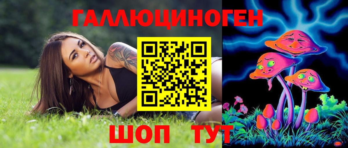 Галлюциногенные грибы Psilocybine cubensis Магнитогорск